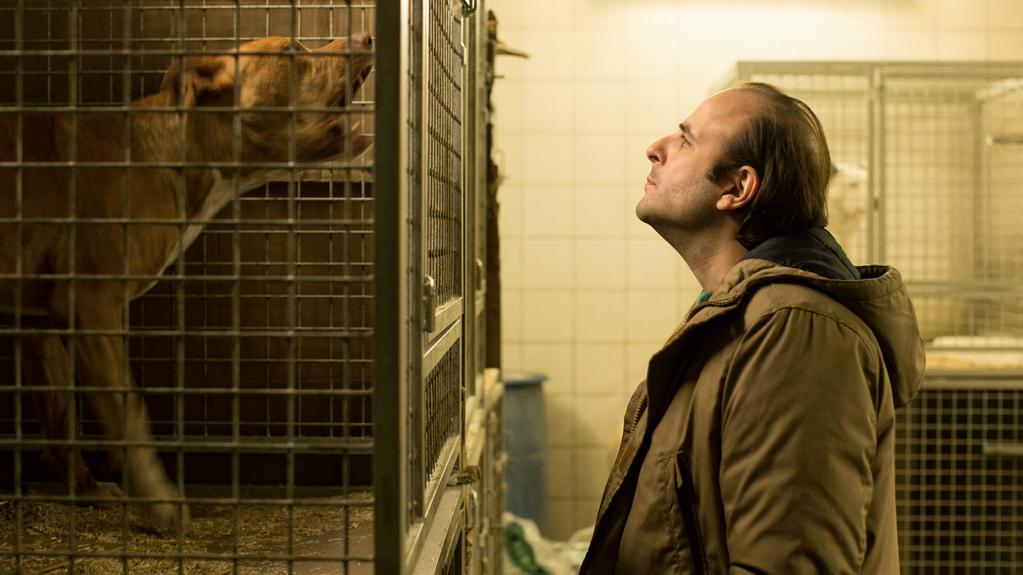 Filmfest Hamburg - Hamburg International Film Festival - 2017