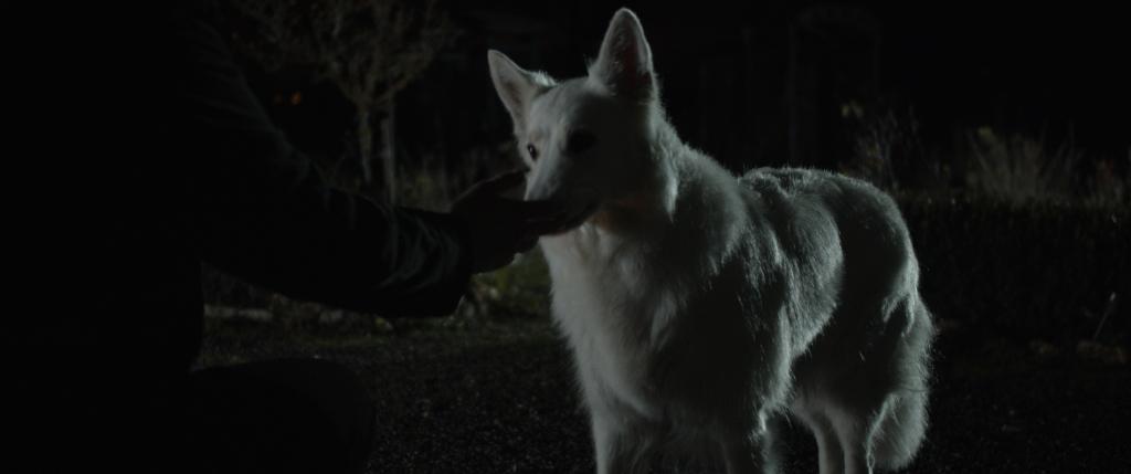 Ophélie ou la malédiction des douves Ophélie ou la malédiction des douves