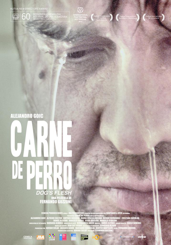 Festival Internacional de Cine de R&oacute;terdam (IFFR) - 2013