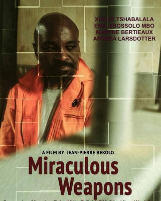 Miraculous Weapons Miraculous Weapons