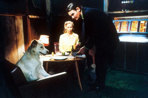 The Man Without a Past The Man Without a Past