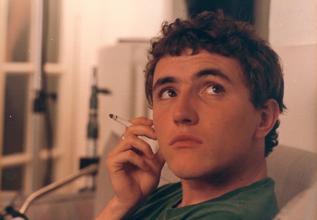 Le Perroquet des îles Le Perroquet des îles