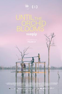 Until the Orchid Blooms Until the Orchid Blooms