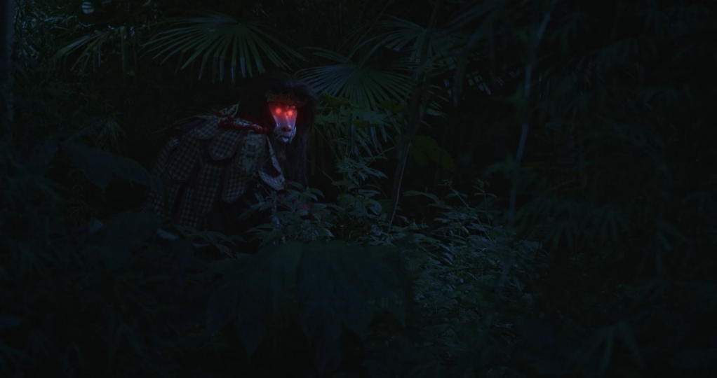 A King Without a Crown A King Without a Crown