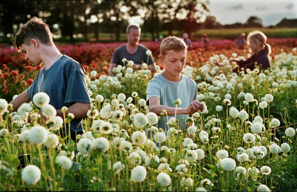 Filmfest Hamburg - Festival International de Hambourg - 2022 - © Kris DEWITTE/Menuet Filmfest Hamburg - Festival International de Hambourg - 2022 - © Kris DEWITTE/Menuet