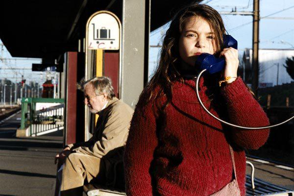 The Giraffe's Neck The Giraffe's Neck