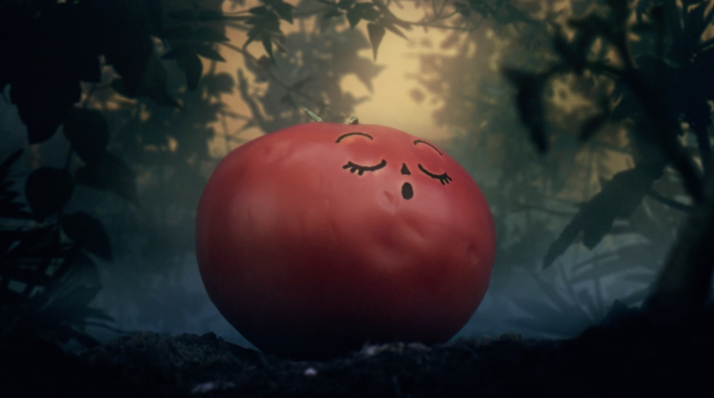 Bonne Nuit petite tomate Bonne Nuit petite tomate