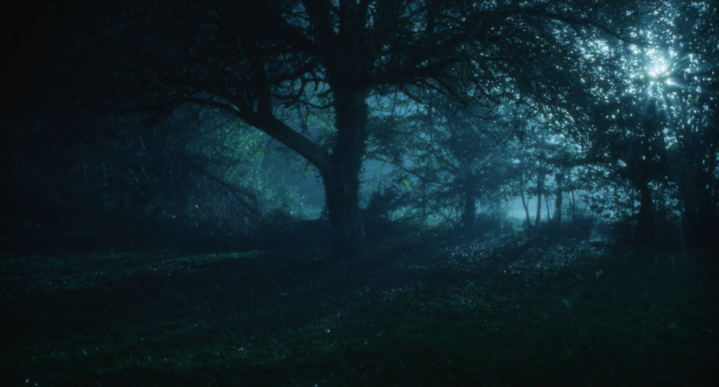 A King Without a Crown A King Without a Crown