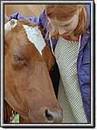 Peau de vache Peau de vache