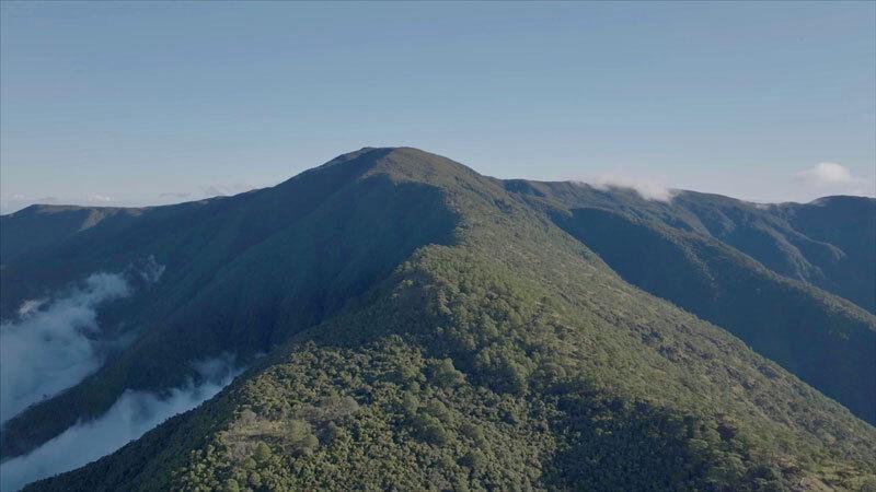 Tapulao: A mountain to protect Tapulao: A mountain to protect