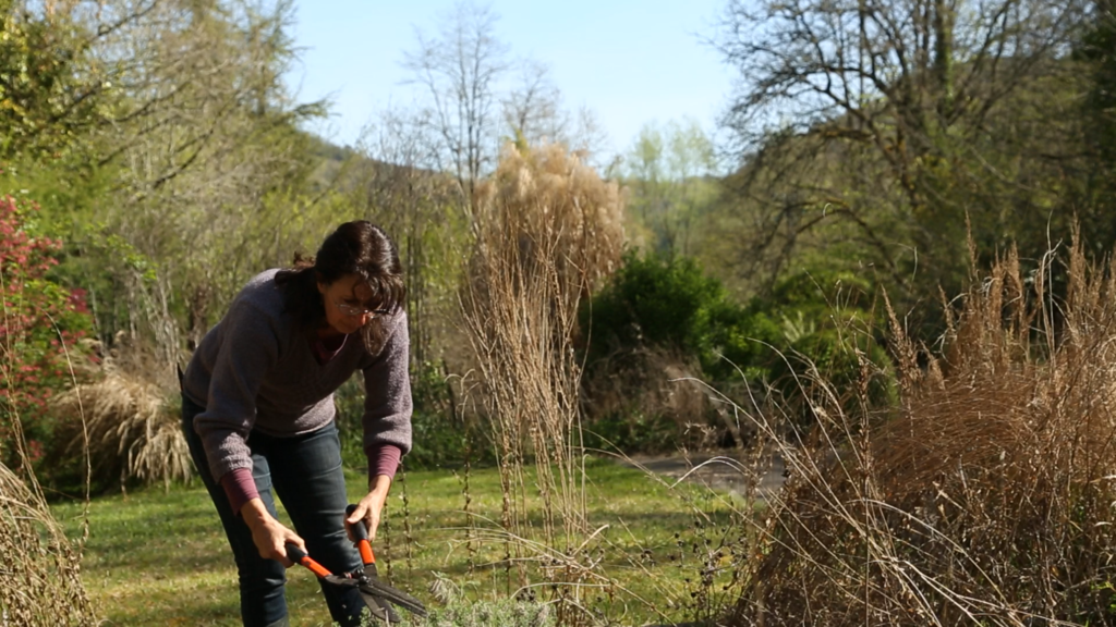 Anne-Laure Dani&egrave;re