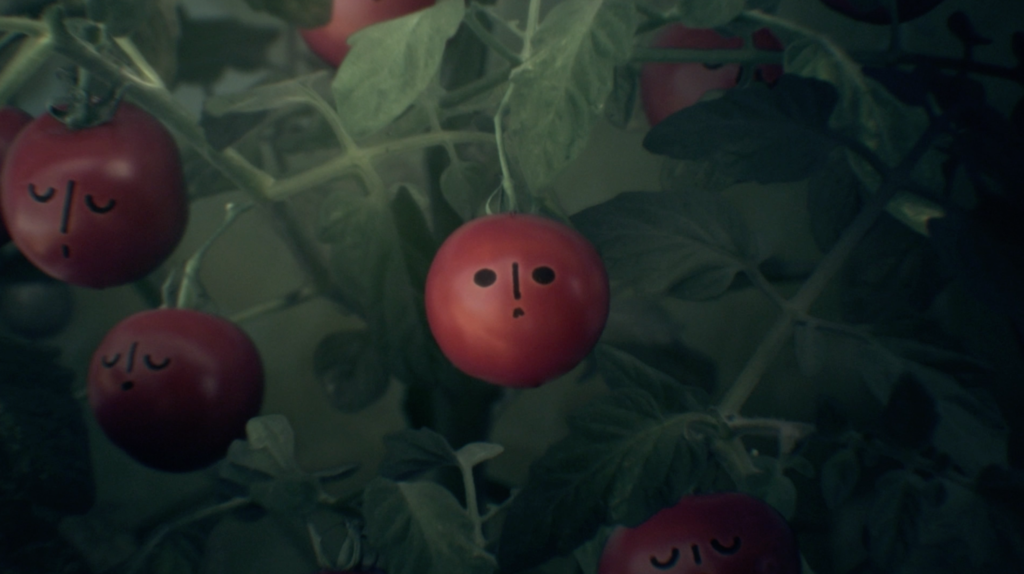 Bonne Nuit petite tomate Bonne Nuit petite tomate