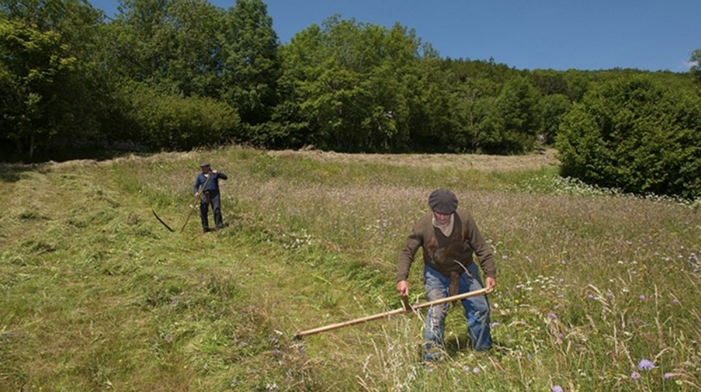 Les Derniers Ma&icirc;tres de la faux