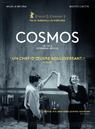 Cosmos