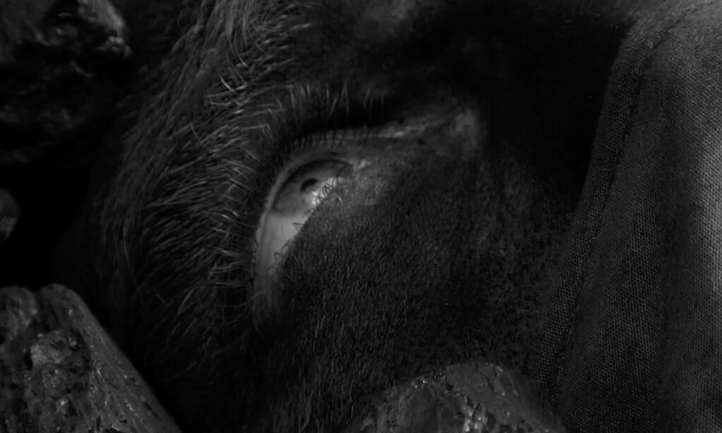 Rugilė   Kačkauskaitė