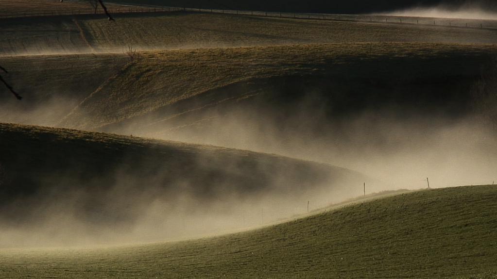 Bonheur... Terre promise Bonheur... Terre promise