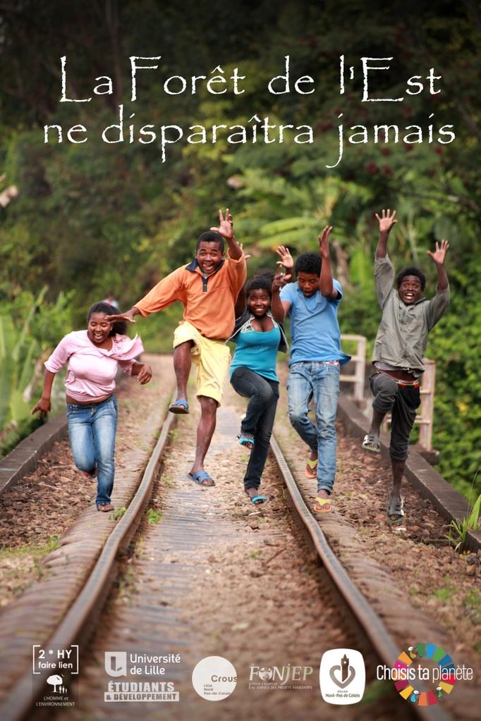 The Eastern Forest Will Never Disappear The Eastern Forest Will Never Disappear