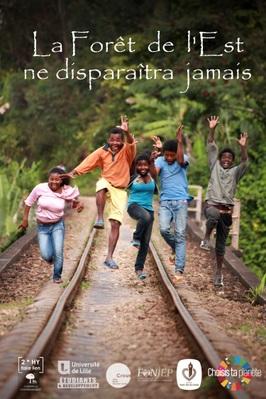 The Eastern Forest Will Never Disappear The Eastern Forest Will Never Disappear