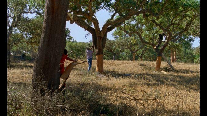 Luis Urbano Luis Urbano