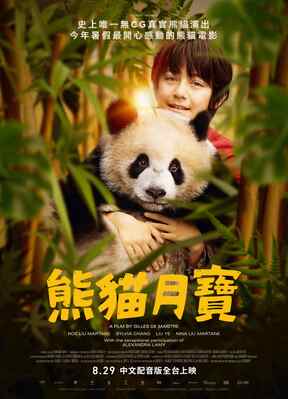 Moon le panda - Taiwan Moon le panda - Taiwan