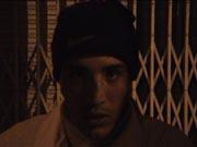 Fence (The) Fence (The)