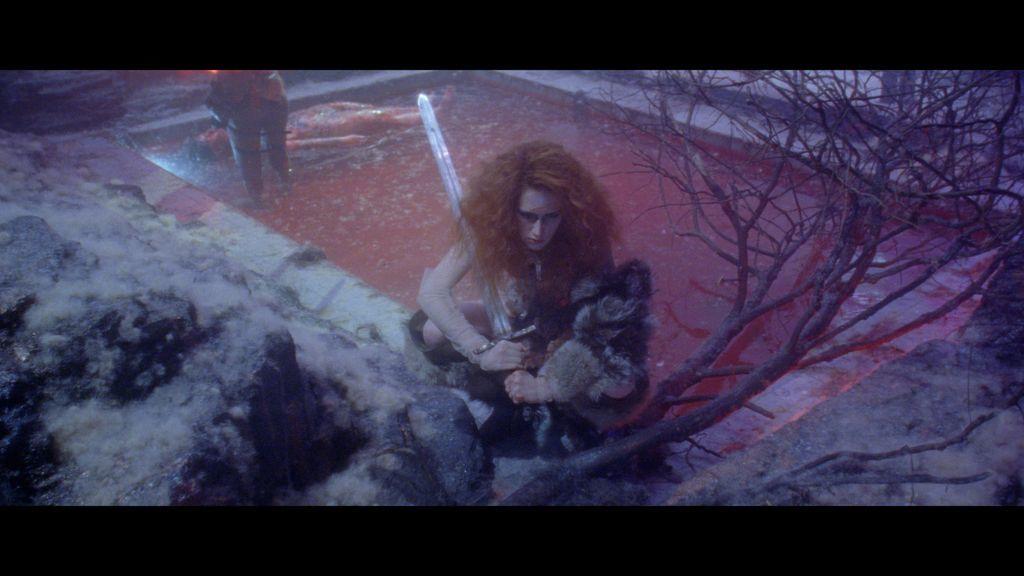 Rainer, a Vicious Dog in a Skull Valley Rainer, a Vicious Dog in a Skull Valley