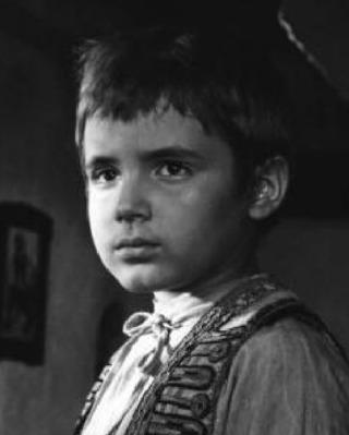 Daniele Spallone Daniele Spallone