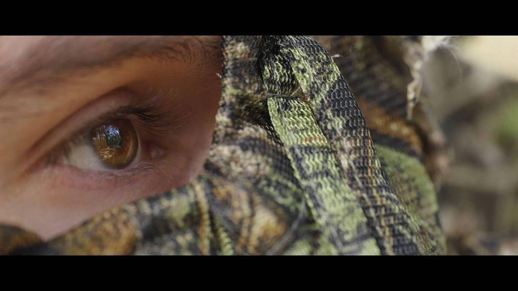 Connexion sauvage Connexion sauvage