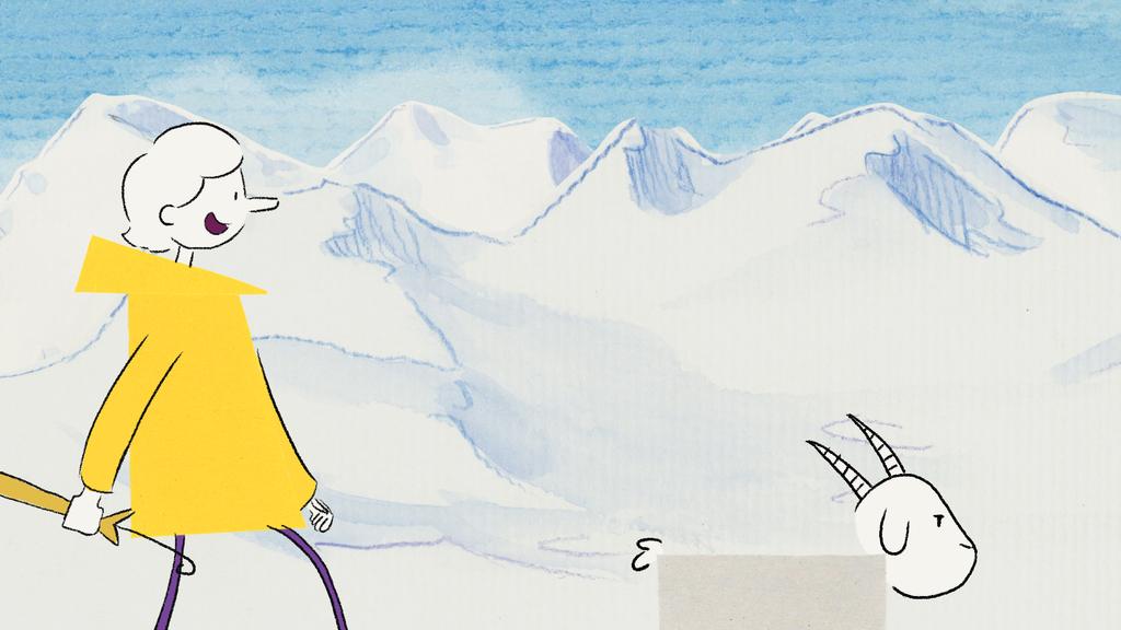 The Cheddar Daisy The Cheddar Daisy