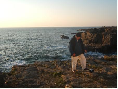 Comme un oiseau Comme un oiseau