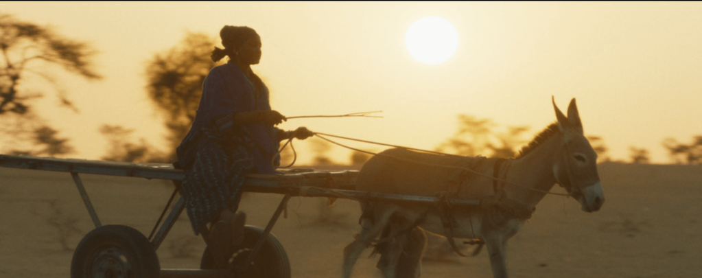 The Souls of Fouta