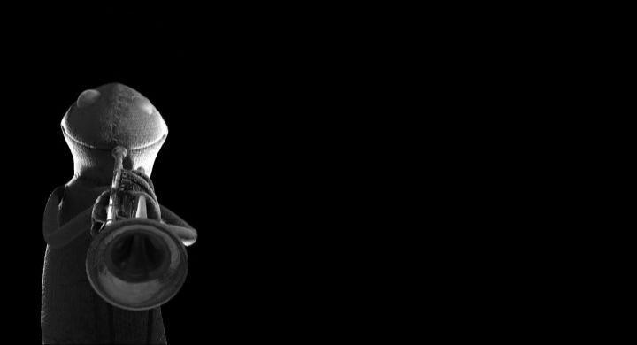 Panorama  du cin&eacute;ma fran&ccedil;ais au Vietnam - 2008