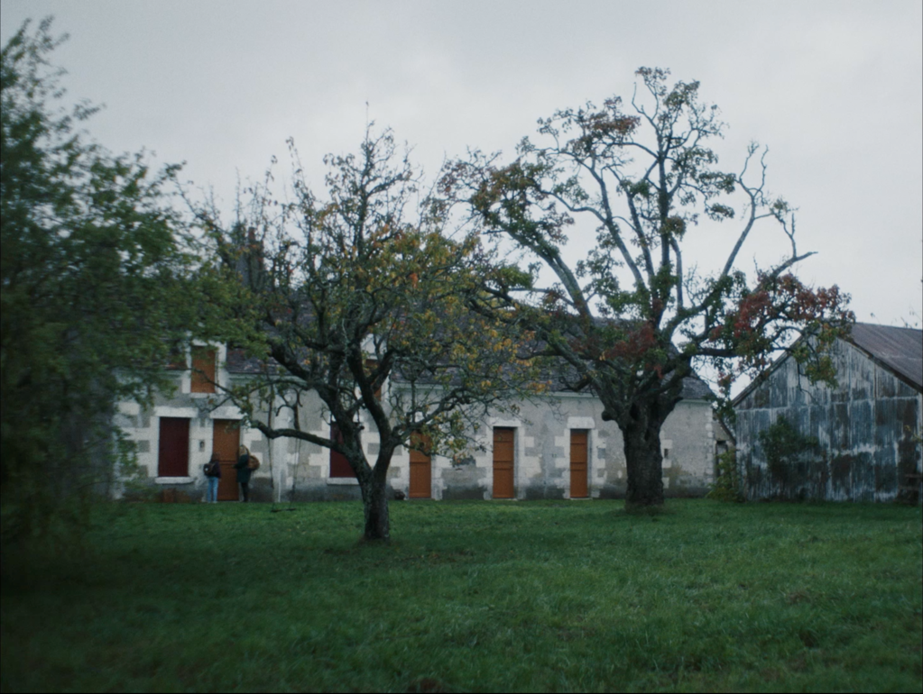 Dernier Automne Dernier Automne