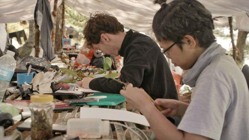 Tapulao : une montage à protéger Tapulao : une montage à protéger