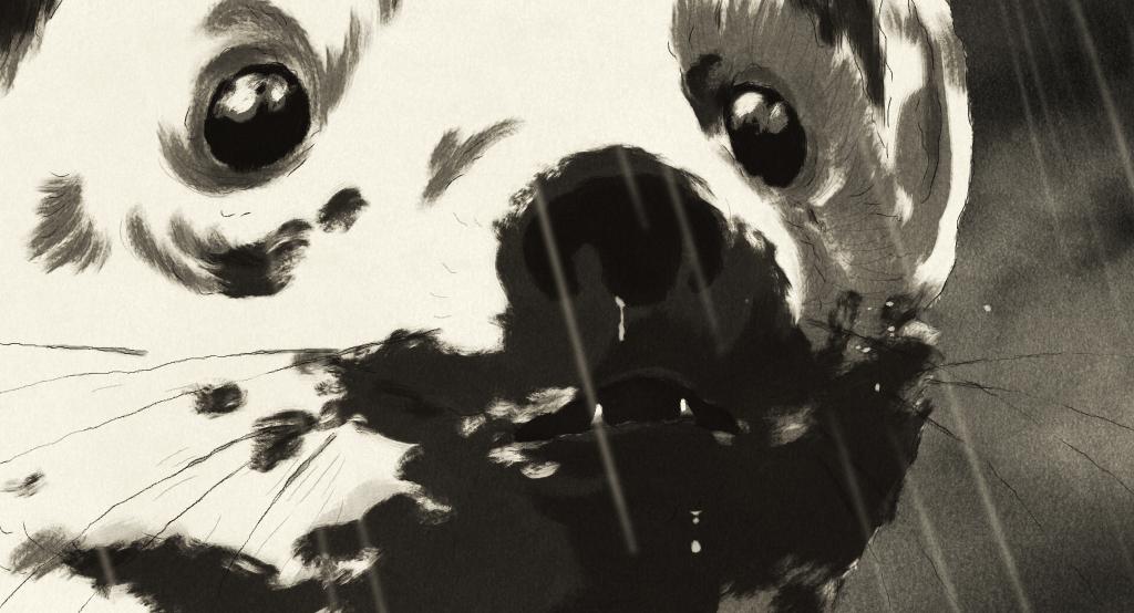 Huesca International Film Festival - 2025