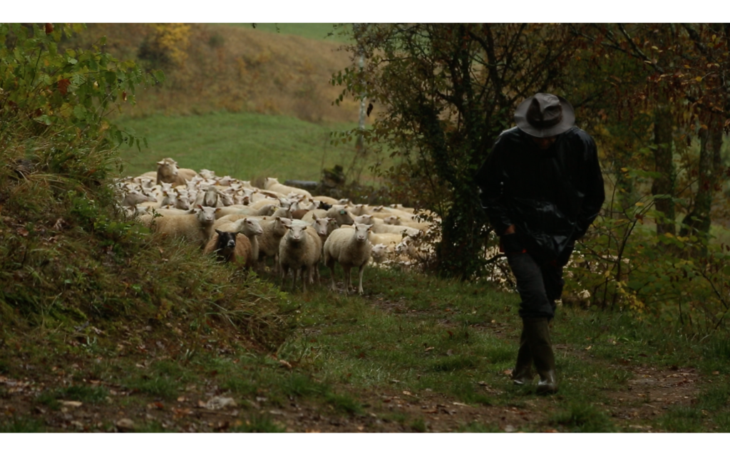 Souviens-toi de ton futur - Visages de l'agroécologie Souviens-toi de ton futur - Visages de l'agroécologie
