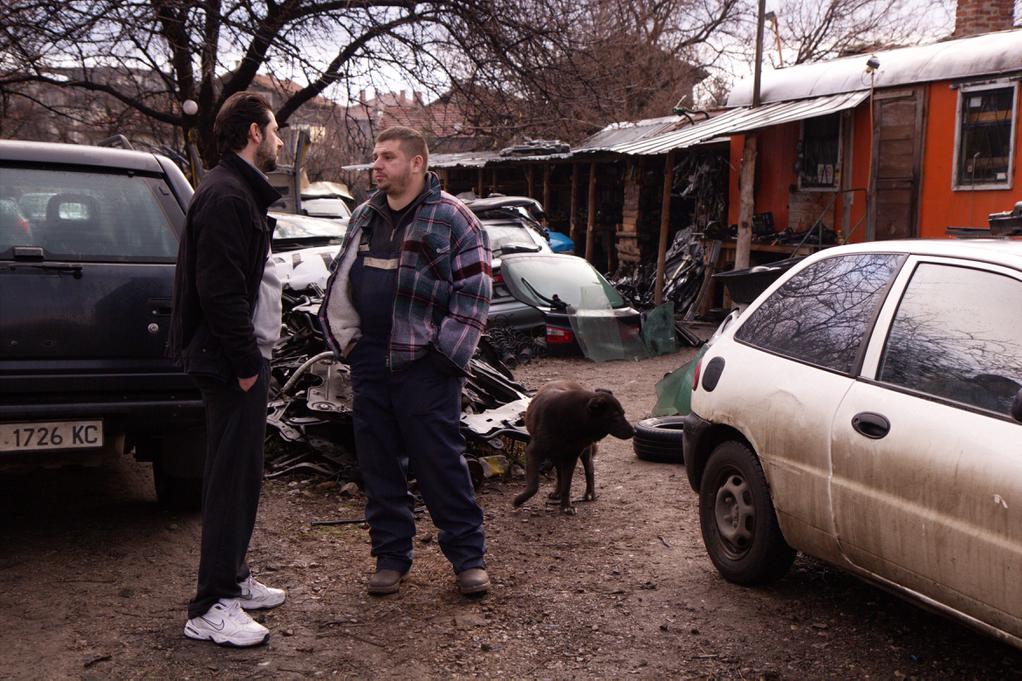 Tête baissée - © Anastas Petkov Tête baissée - © Anastas Petkov