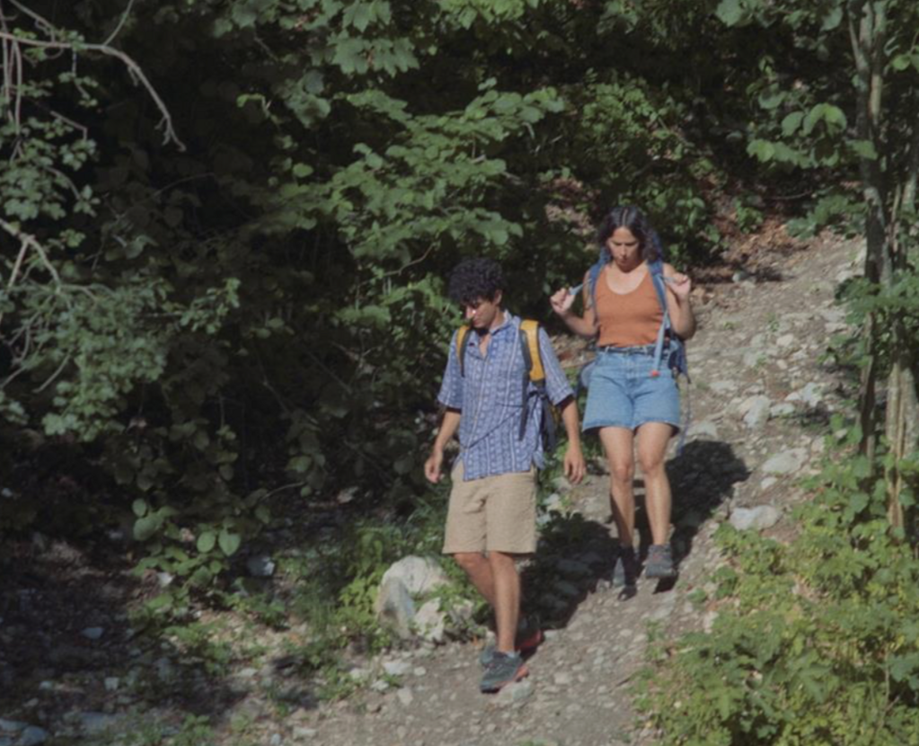 Les Fleurs bleues Les Fleurs bleues