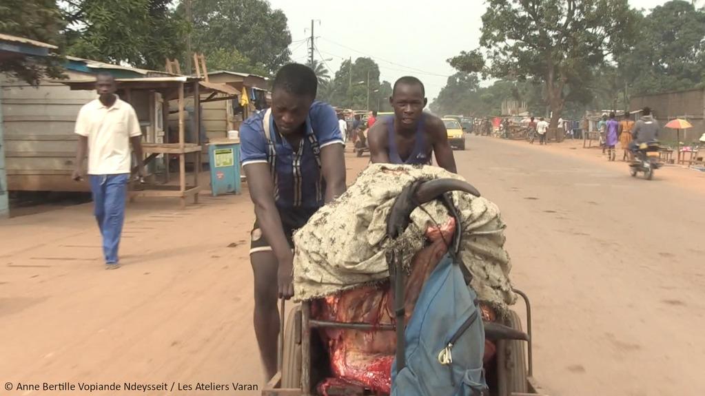 IDFA - International Documentary Film Festival Amsterdam - 2020 IDFA - International Documentary Film Festival Amsterdam - 2020