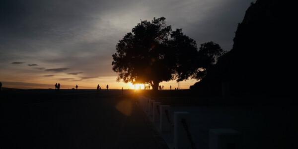 A la recherche d'Eva Freud A la recherche d'Eva Freud