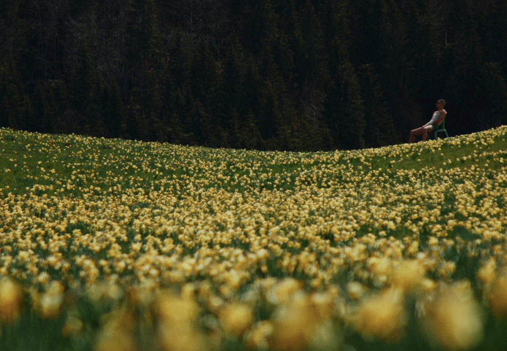 Vache folle Vache folle