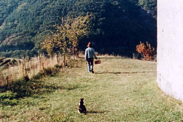 Berlin - Forum International du Nouveau Cin&eacute;ma - 2003