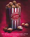 French Film Festival in the Czech Republic - 2004