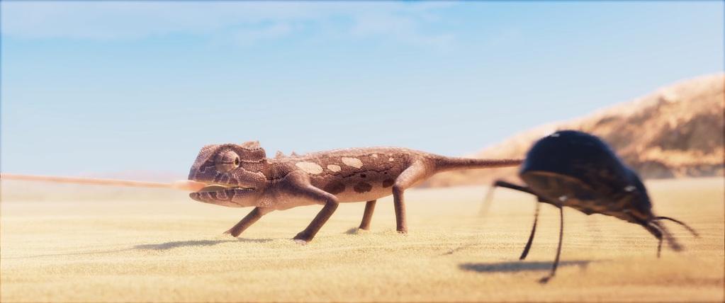 Hors course Hors course