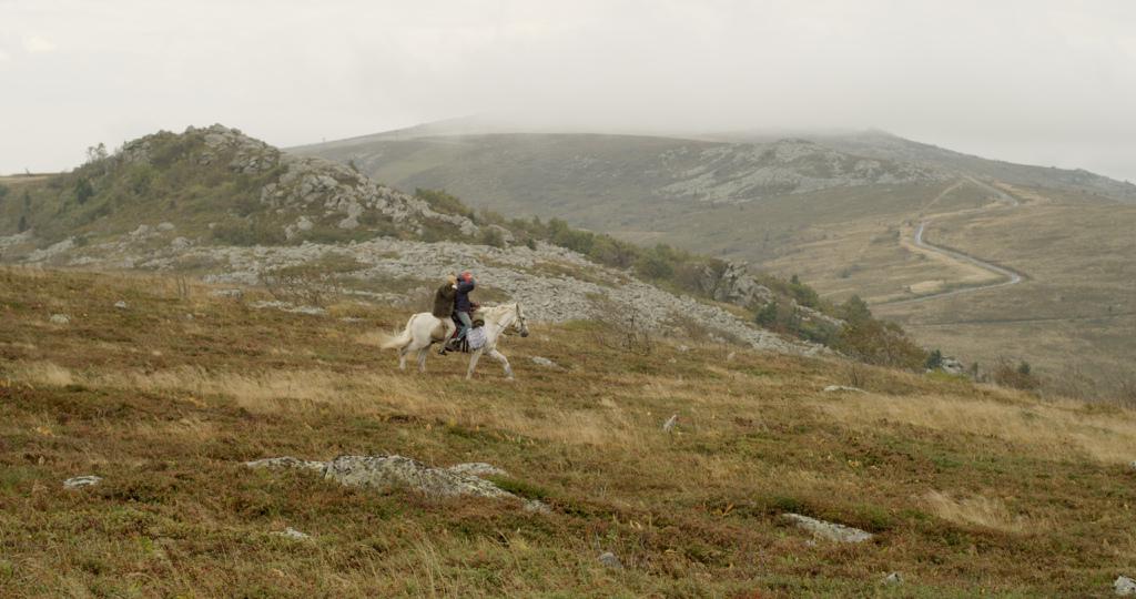 No&eacute;lie Martin
