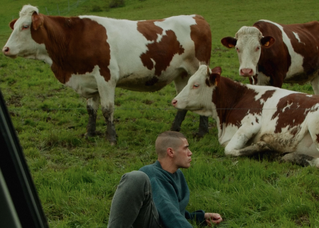 Vache folle Vache folle