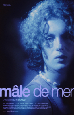 Mâle de mer Mâle de mer