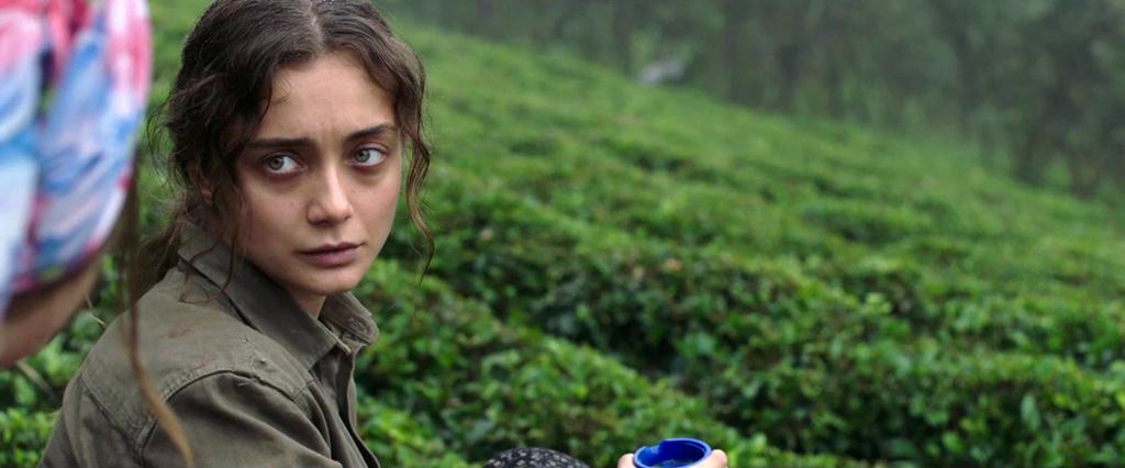 Hong Kong - Festival Internacional - 2019 Hong Kong - Festival Internacional - 2019