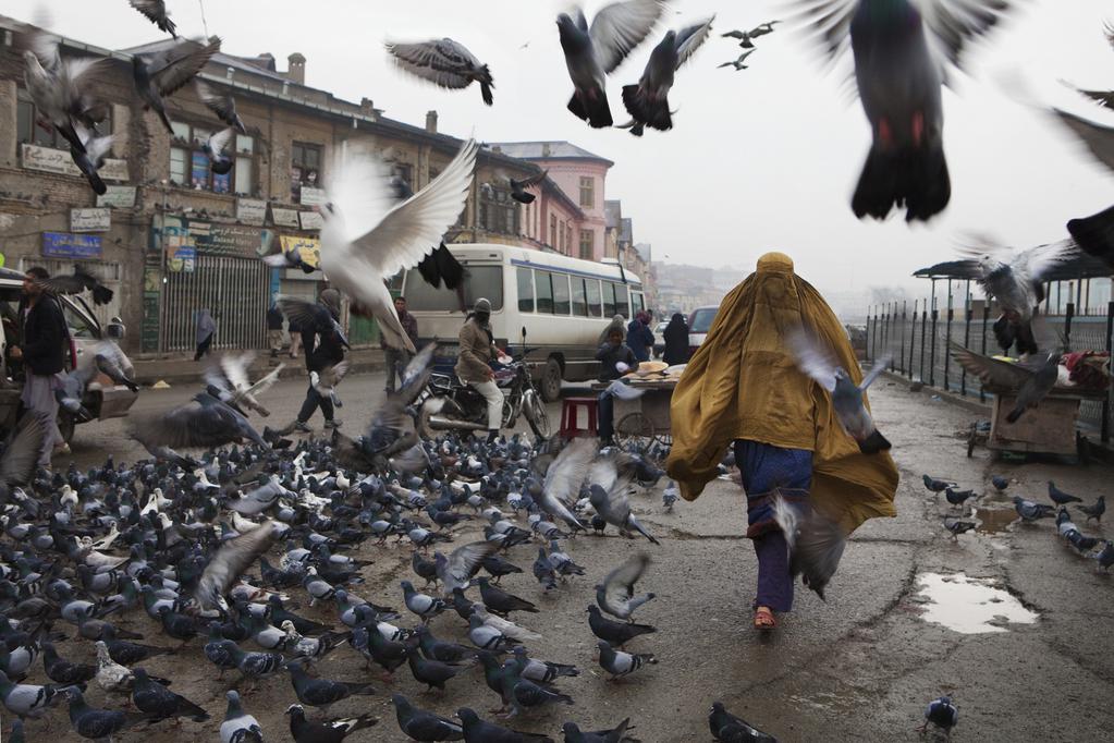 The Patience Stone - © R. Benoi et Peverelli The Patience Stone - © R. Benoi et Peverelli