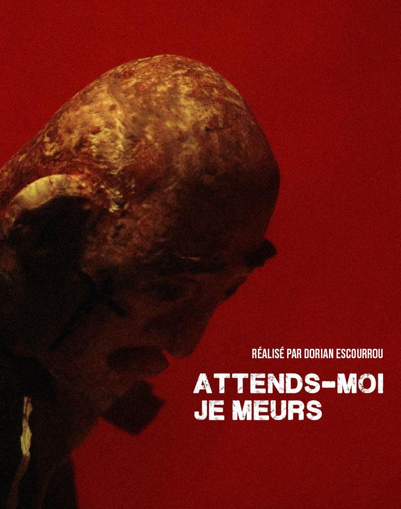 Wait for Me, I'm Dying